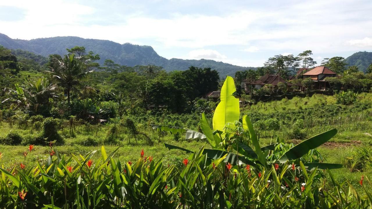 Pondok Masa Depan Sidemen (Bali) Exterior foto